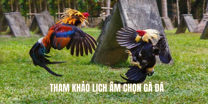 Tham khảo xem lịch âm chọn chiến kê phù hợp