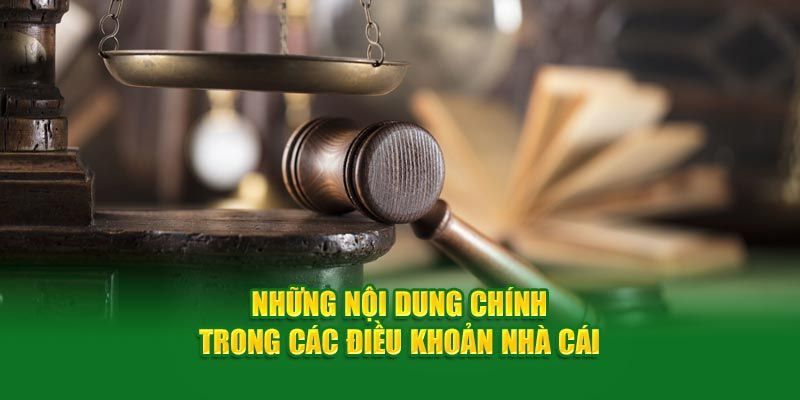 Hội viên sẽ nhận được nhiều lợi ích nhờ chuyên mục điều khoản điều kiện